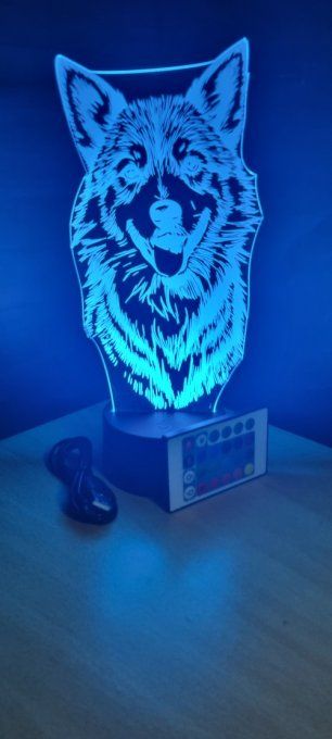 Lampe-led-3d-berger-islandais