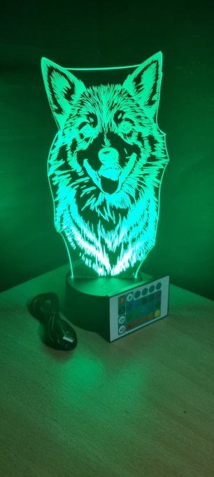 Lampe led 3D Berger Islandais, chien, veilleuse, enfant, chambre