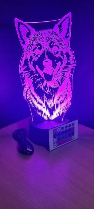 Lampe led 3D Berger Islandais, chien, veilleuse, enfant, chambre