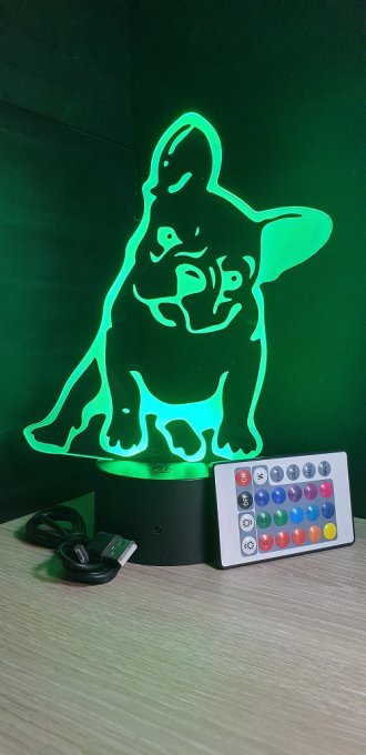 Lampe led 3D Bouledogue, chien, idée cadeau, veilleuse, déco, enfant, chambre, illusion