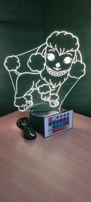 Lampe-led-3D-caniche-animé