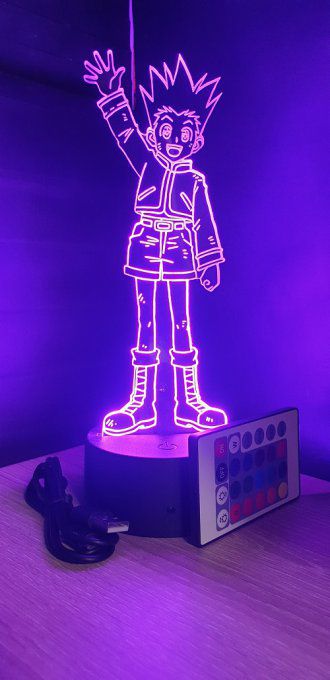 Lampe led 3D Gon debout, Hunter X Hunter, manga ,veilleuse, lampe de chevet, déco, illusion