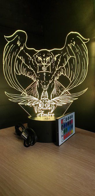 Lampe led 3D Hedwige, Harry potter, film, veilleuse, idée cadeau, déco, illusion