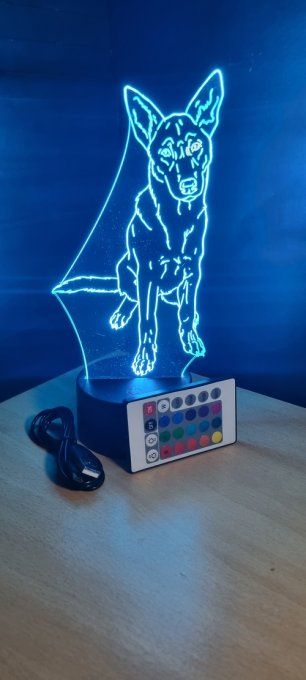 Lampe led 3D Malinois, chien, veilleuse, luminaire, chevet, décoration